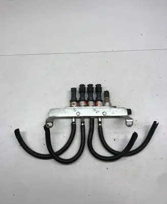 Ford Focus Fuel injection (other) 110R000005 09SQ99020002G