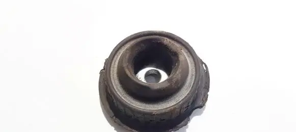Coil spring mount