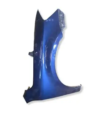 Volkswagen PASSAT B7 Fender 
