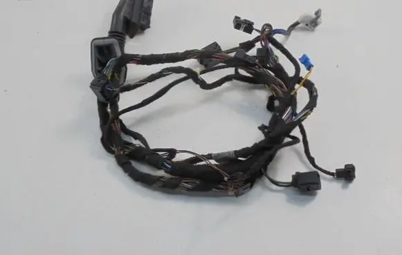 BMW X5 E53 Front door wiring loom 6937602