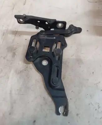 BMW X5 E70 Engine bonnet/hood hinges 7148348