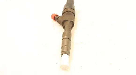 Renault Megane II Fuel injector