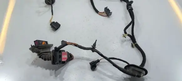 Volkswagen PASSAT B7 Front door wiring loom 3AB971120AG