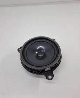 Rear door speaker