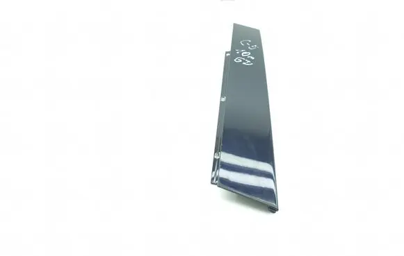 Citroen C5 Rear door glass trim molding 9657425280