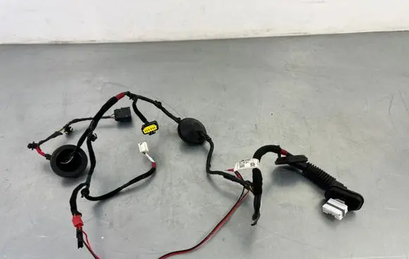 Hyundai i30 Rear door wiring loom 91650G4080