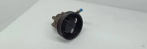 Suzuki Grand Vitara II Power steering pump 4910067j00