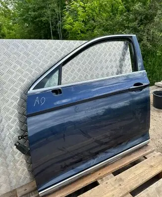 Volkswagen PASSAT B8 Front door 