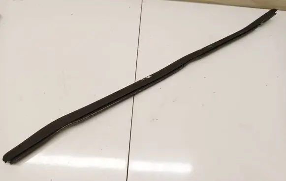 Ford Focus Front door glass trim molding 