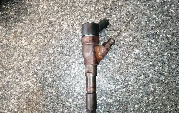Peugeot 406 Fuel injector 0445110076 9641742880