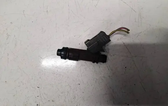 Subaru B9 Tribeca Fuel injector 010063123