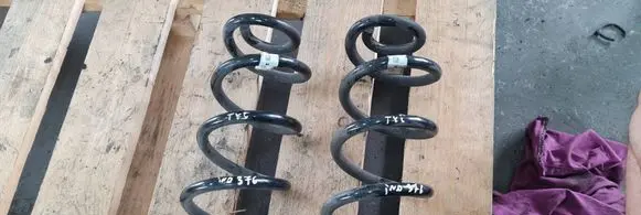 Rear coil spring