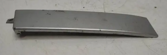 Rear/tail light trim molding