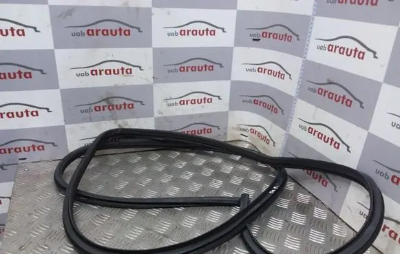 Toyota RAV 4 (XA30) Front door rubber seal