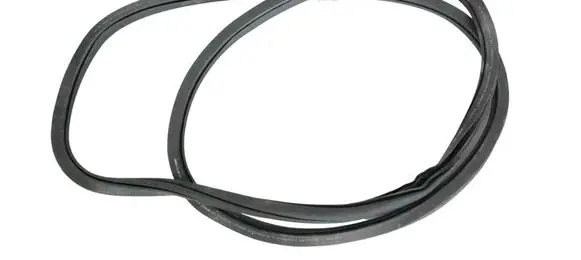 Skoda Enyaq iV Rubber seal front door (on door) 11A867912B