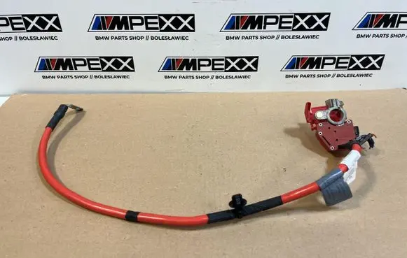 BMW X5 G05 Positive cable (battery) 10304410
