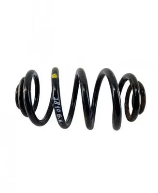 Rear coil spring