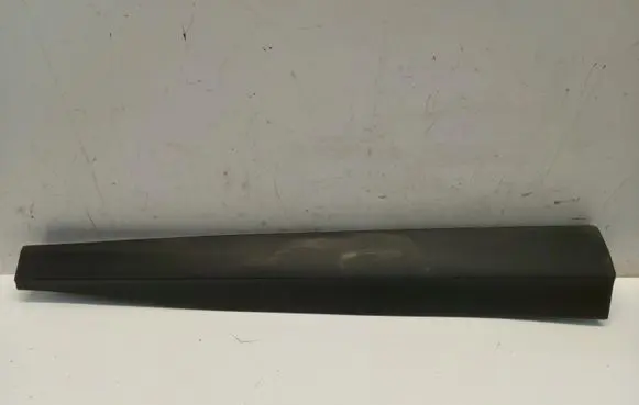 Front door trim (molding)