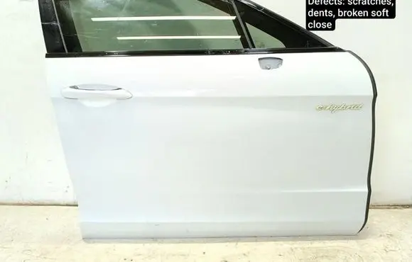 Porsche Panamera (971) Front door A038482