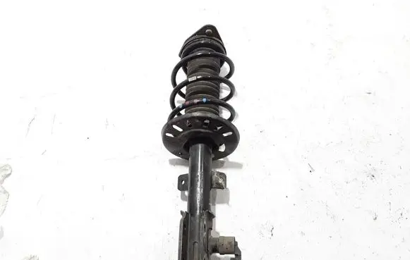 Citroen DS7 Crossback Rear shock absorber/damper 9827150280