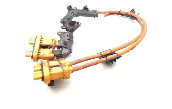 Volkswagen ID.3 Other wiring loom 1EA971015S