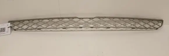 BMW X5 E70 Front bumper lower grill 51117159597