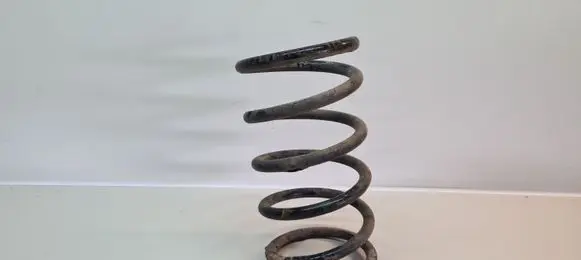 Rear coil spring