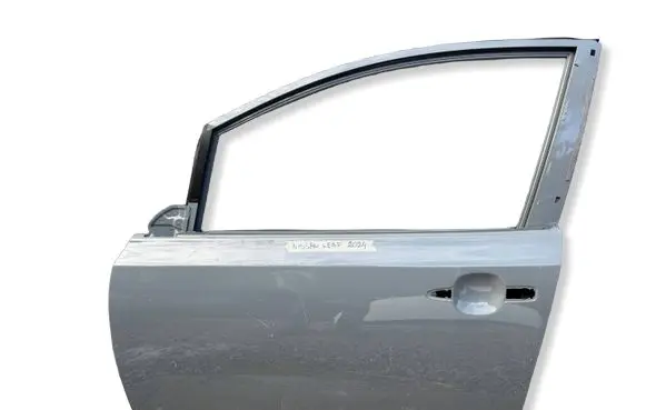 Nissan Leaf II (ZE1) Front door CHZP004