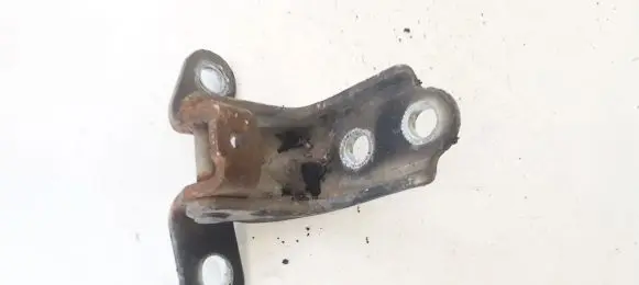 KIA Carens II Front door upper hinge