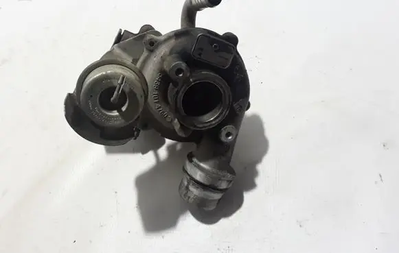 Renault Kangoo II Turbo 54359710028