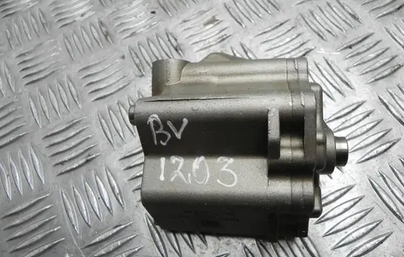 Ford Mustang V Oil pump F2GE6600AA BV1203