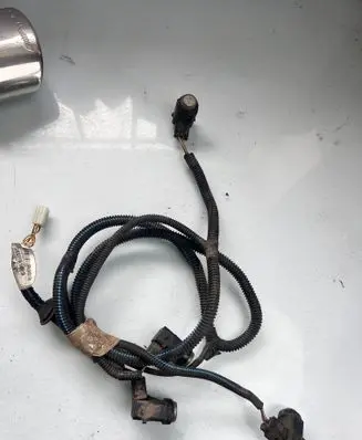 Opel Signum Parking sensor (PDC) wiring loom 24438408 0120030513112623 2438408