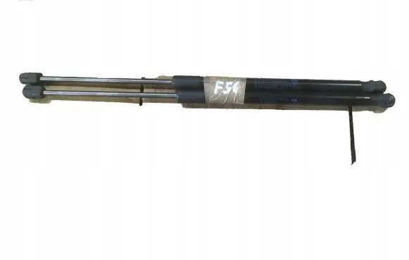 Tailgate strut