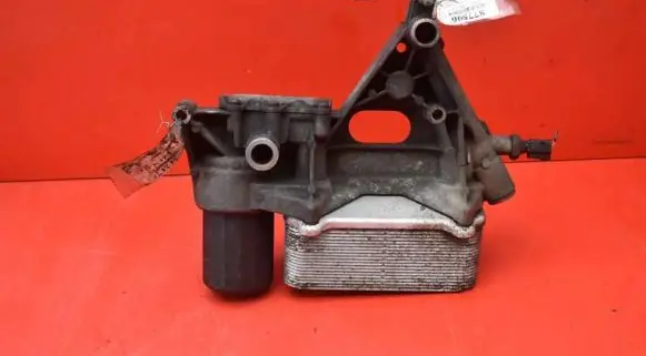 Porsche Cayenne (9PA) Oil filter cover 94810720203