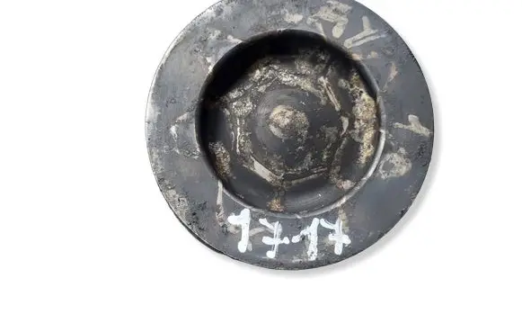 Skoda Octavia Mk2 (1Z) Piston CAY