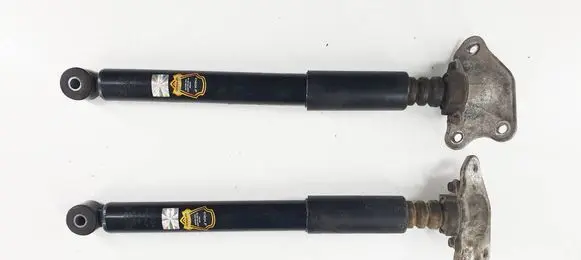 Suzuki Kizashi Rear shock absorber/damper 