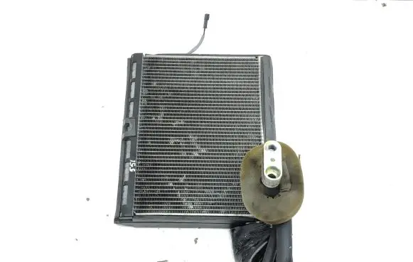 Land Rover Range Rover Sport L320 Air conditioning (A/C) radiator (interior) 
