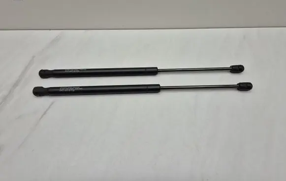 Tailgate/trunk strut/damper
