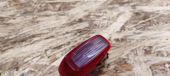 Porsche Panamera (970) Rear door interior light 97063213200
