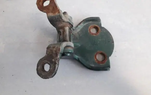 Rear door lower hinge