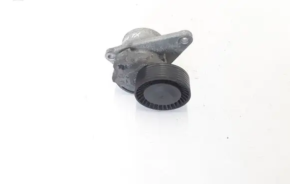 Volvo XC90 Timing belt/chain tensioner 31251250