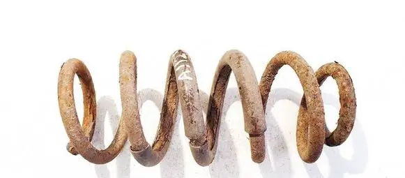 Toyota RAV 4 (XA30) Rear coil spring