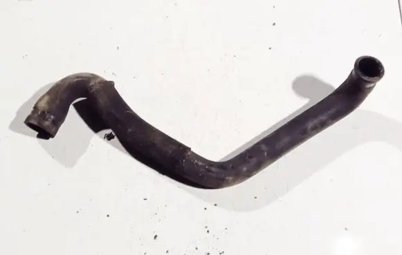 Citroen Berlingo Engine coolant pipe/hose