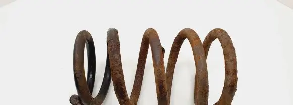 KIA Carnival Rear coil spring