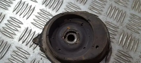 Coil spring mount