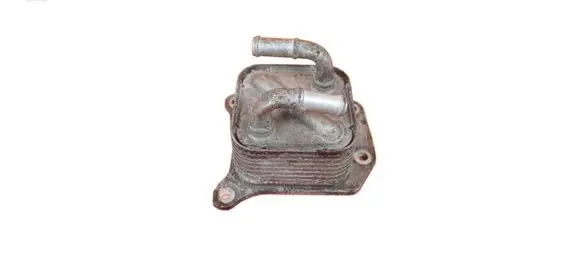 Nissan Juke I F15 Engine oil radiator MR16