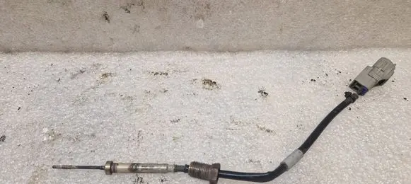 Toyota RAV 4 (XA40) Exhaust gas temperature sensor 8942520380 D01S151770