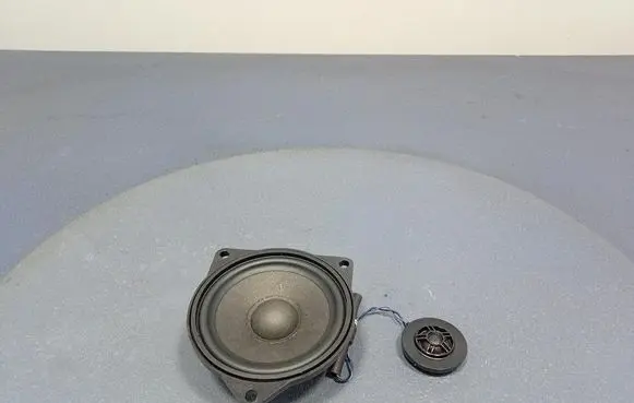 BMW X5 E53 Subwoofer speaker 6809628