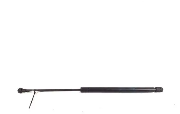 Tailgate strut
