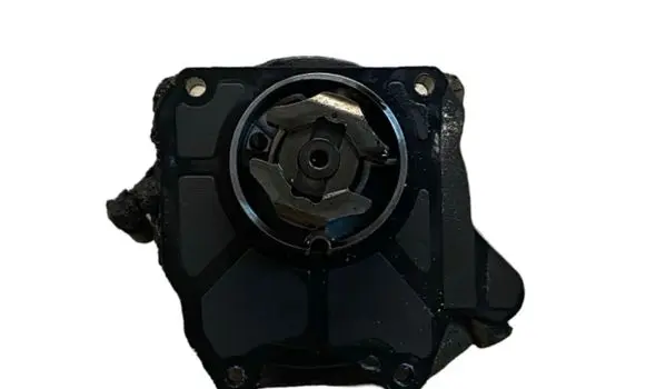 Opel Zafira C Vacuum pump 55205446
